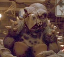 Tokka