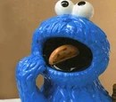 Sesame Street cookie jars (Vandor)