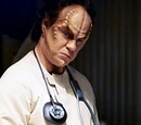 Phlox