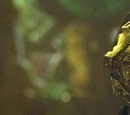 Borg