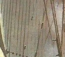 Sarda