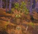 Angry Oak Spirit