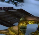 Reins of the Time-Lost Proto-Drake