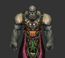 Scarshield Spellbinder
