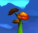 Bogblossom