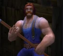 Farmer Solliden