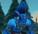 Frostmane Seer