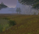 Mosshide Fen