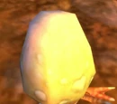 Farm Chicken Egg