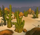 Thistleshrub Valley