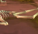 Skeletal Remains of Kariel Winthalus