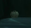 Ikeyen's Belongings