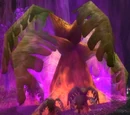 Strange Fronded Plant