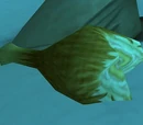 Stolen Tallstrider Leg