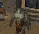 Tol'vir Merchant