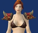 Confessor's Raiment