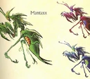 Mantaxx