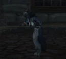 Afflicted Gilnean