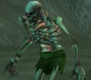 Undead Ravager