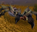 Plains Creeper