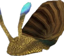 Snail