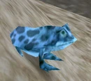 Borean Frog