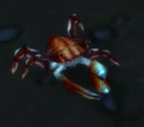 Canal Crab