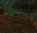 Jadefire Glen