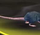 Deeprun Rat