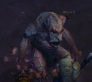 Bouldergut