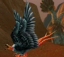 Starving Buzzard