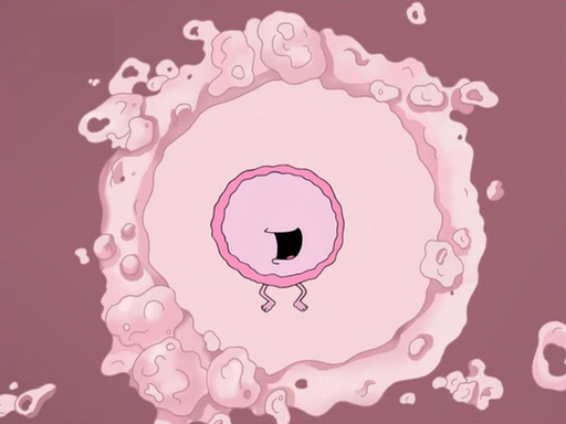 Ziggy_1.png