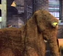 Season 3 (1971-1972)