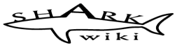 Shark Wiki