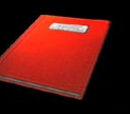 Diario de D.I.J.