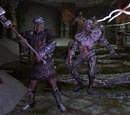 Квесты (Dragonborn)