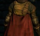 Paladin's Mantle