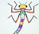 Insects