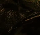 Locations