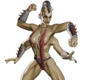 Sheeva