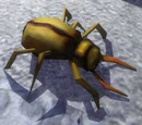 Rust Mite