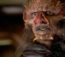 Magog