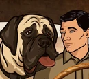 Un Chien Tangerine