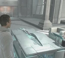 Animus