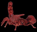 The Scorpion