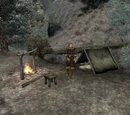 Aerin's Camp