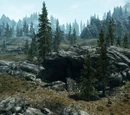 Greenspring Hollow