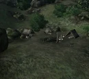 Black Dog Camp