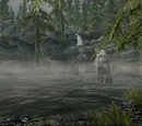 Evergreen Grove