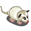 White Opossum-icon.png
